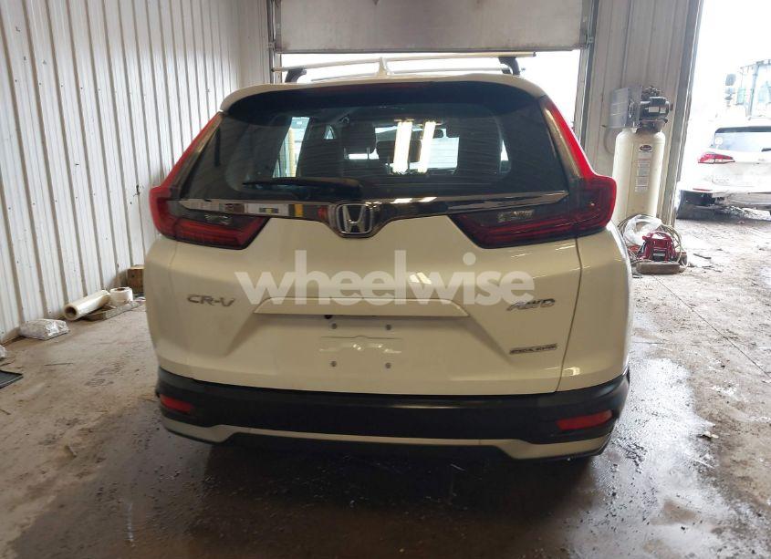 Photo 16 of 2022 Honda Cr-v AWD SPECIAL EDITION (VIN 7FARW2H77NE012629)