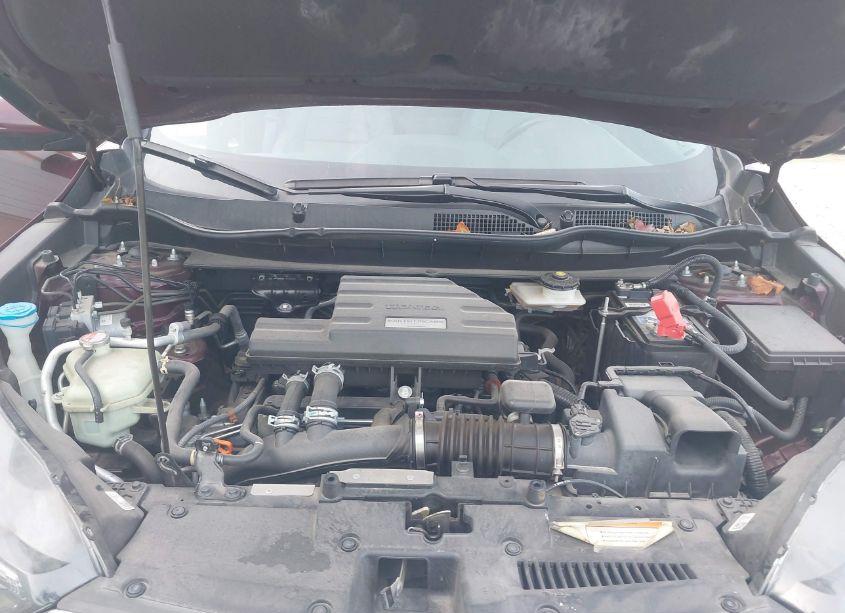 Photo 10 of 2019 Honda Cr-v EX-L (VIN 7FARW2H80KE023332)