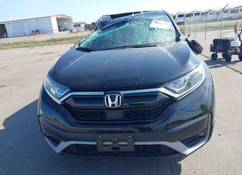 Photo 12 of 2022 Honda Cr-v AWD EX-L (VIN 7FARW2H82NE039634)