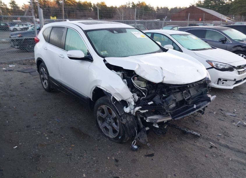 2019 Honda Cr-v EX-L (VIN 7FARW2H85KE038666) main photo