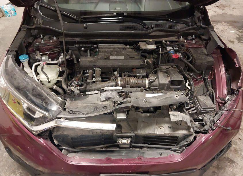 Photo 10 of 2019 Honda Cr-v EX-L (VIN 7FARW2H85KE058254)