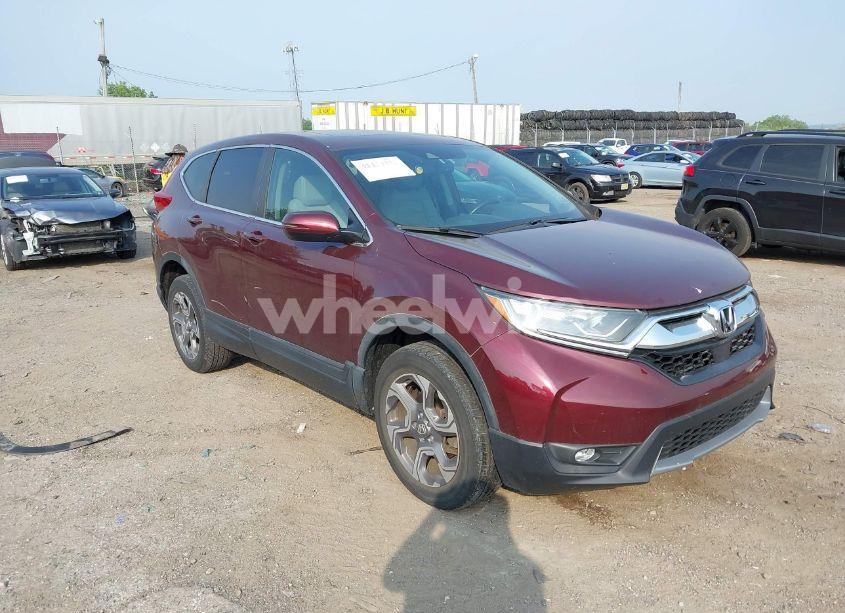 2019 Honda Cr-v EX-L (VIN 7FARW2H89KE025743) main photo