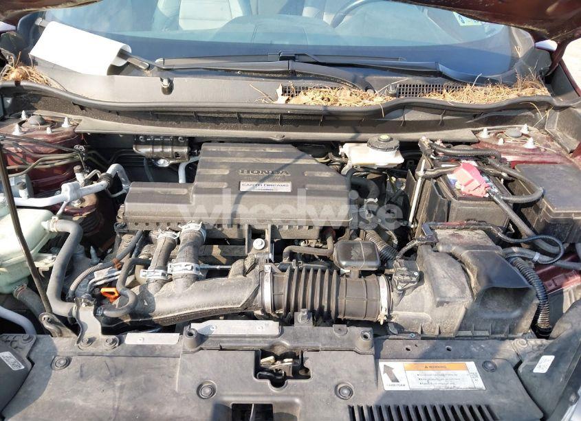 Photo 10 of 2019 Honda Cr-v EX-L (VIN 7FARW2H89KE025743)