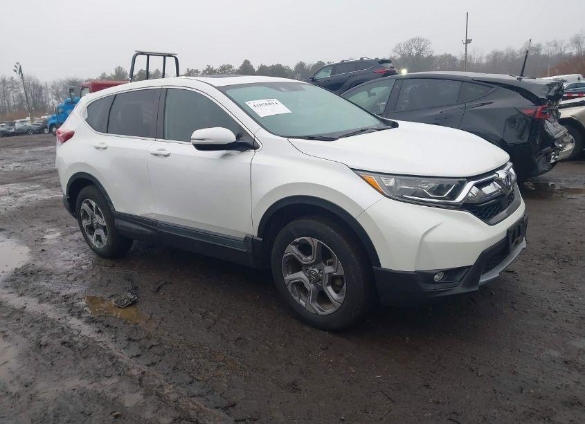2019 Honda Cr-v EX-L (VIN 7FARW2H89KE048956) main photo