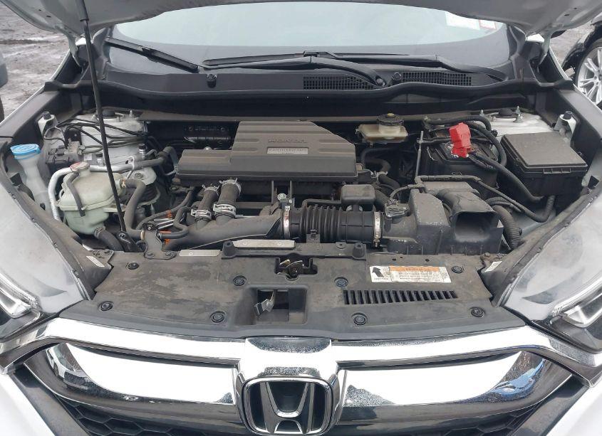 Photo 10 of 2019 Honda Cr-v EX-L (VIN 7FARW2H89KE048956)