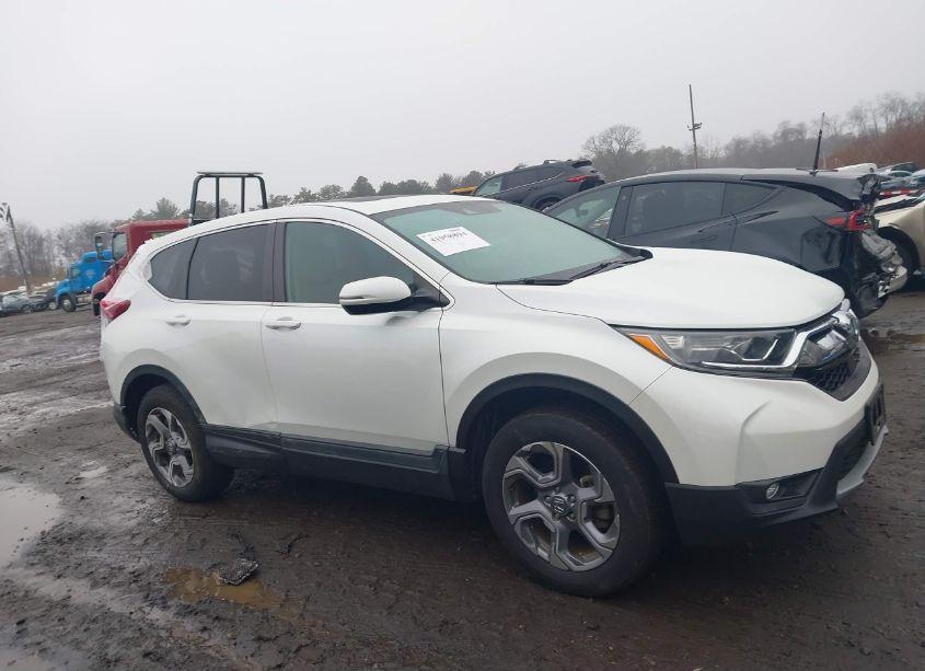 Photo 13 of 2019 Honda Cr-v EX-L (VIN 7FARW2H89KE048956)