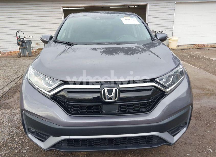 Photo 13 of 2022 Honda Cr-v AWD EX-L (VIN 7FARW2H89NE049187)