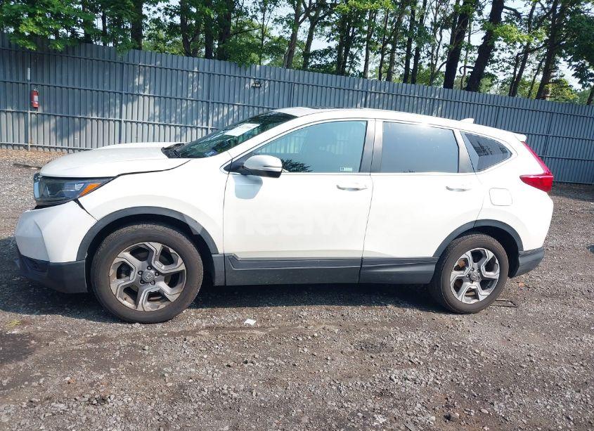 Photo 14 of 2019 Honda Cr-v EX-L (VIN 7FARW2H8XKE036346)