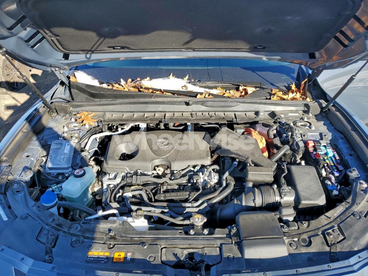 Photo 12 of 2025 MAZDA CX-50 PREMIUM (VIN 7MMVAADW3SN131355)