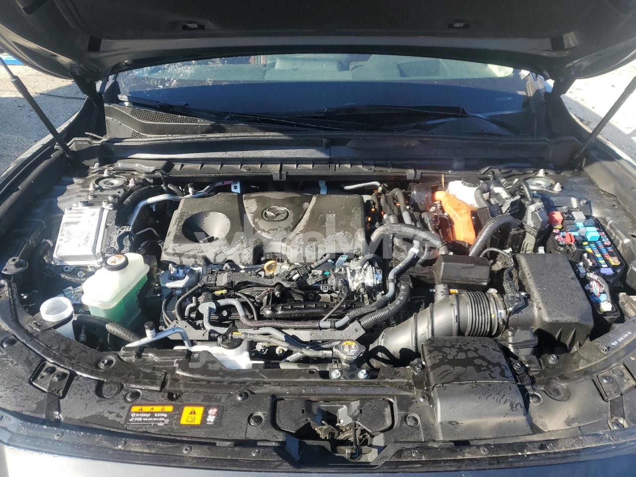 Photo 12 of 2025 MAZDA CX-50 PREMIUM PLUS (VIN 7MMVAAEW3SN138076)