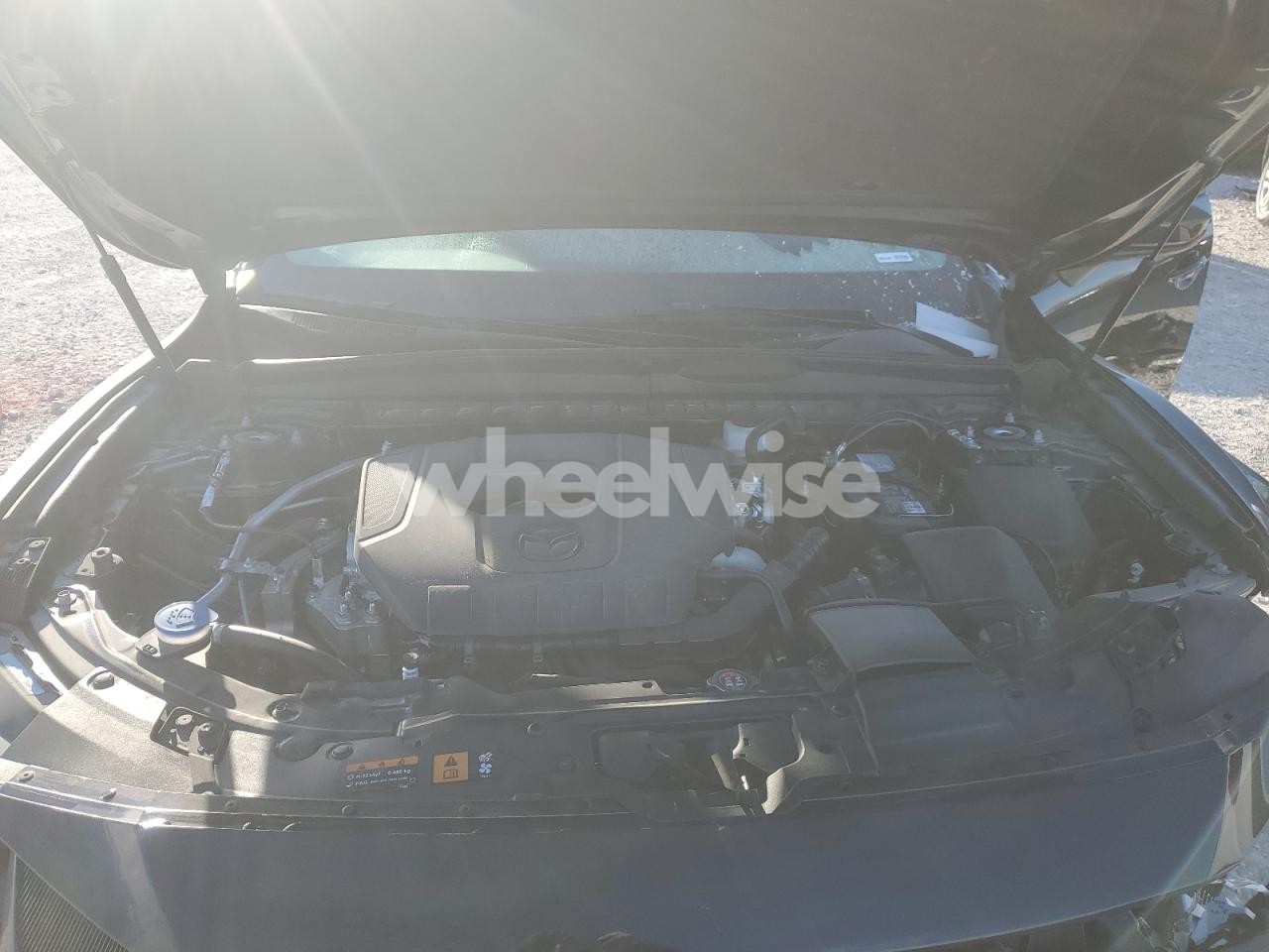 Photo 12 of 2025 MAZDA CX-50 PREMIUM PLUS (VIN 7MMVABEM2SN375002)