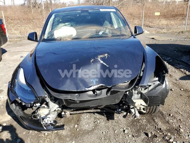 Photo 3 of 2025 TESLA MODEL Y (VIN 7SAYGAEE1SF218433)