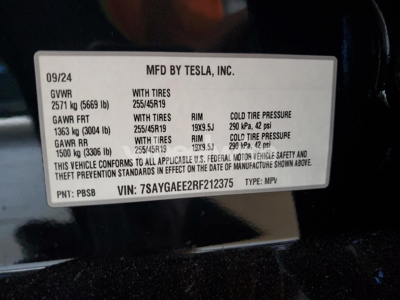 Photo 12 of 2024 TESLA MODEL Y (VIN 7SAYGAEE2RF212375)