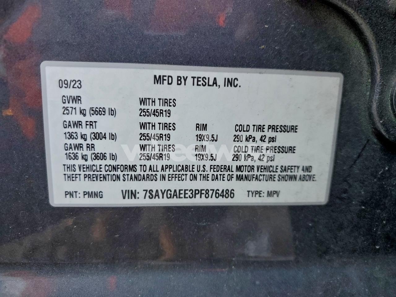 Photo 14 of 2023 TESLA MODEL Y (VIN 7SAYGAEE3PF876486)