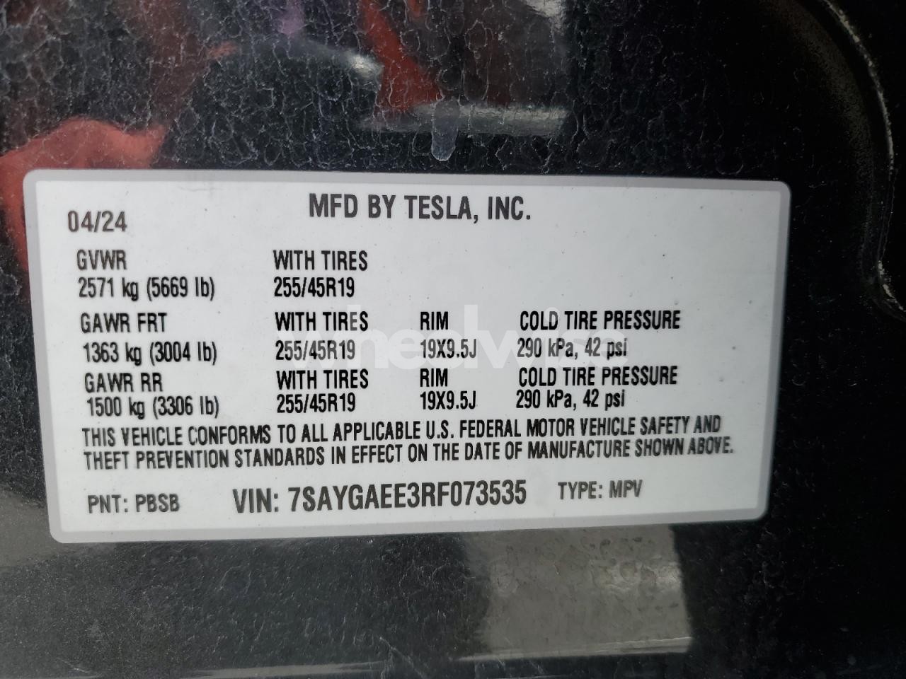 Photo 12 of 2024 TESLA MODEL Y (VIN 7SAYGAEE3RF073535)
