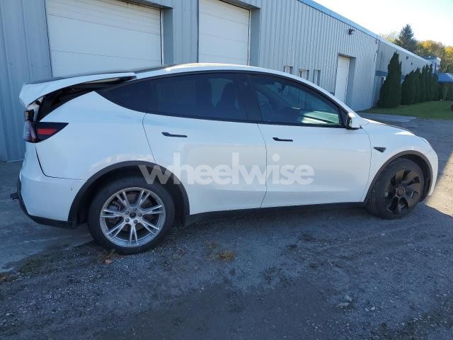 Photo 11 of 2023 TESLA MODEL Y (VIN 7SAYGAEE6PF672426)