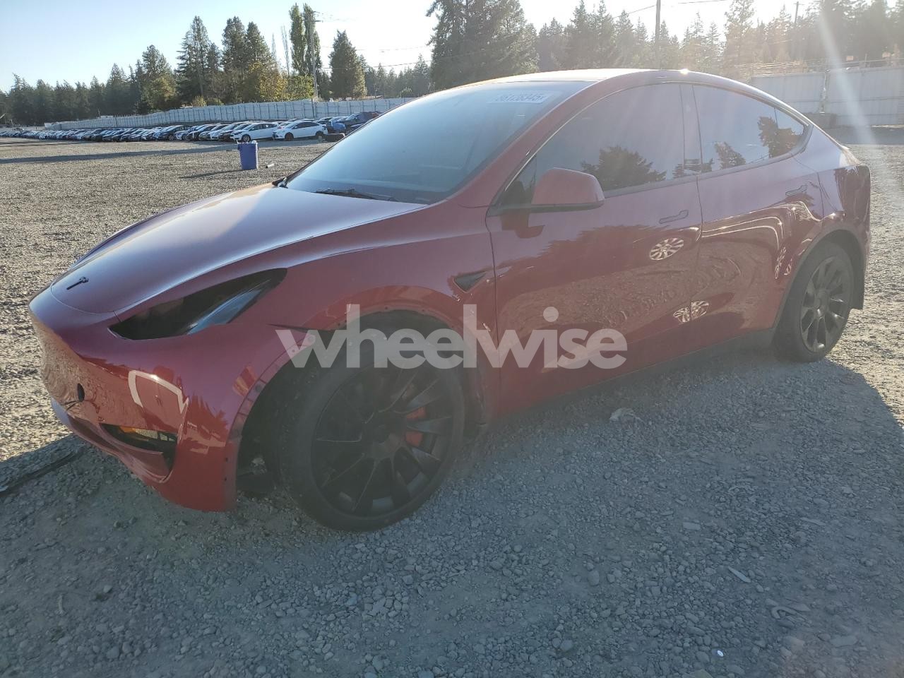 2023 TESLA MODEL Y (VIN 7SAYGAEE7PF873798) main photo