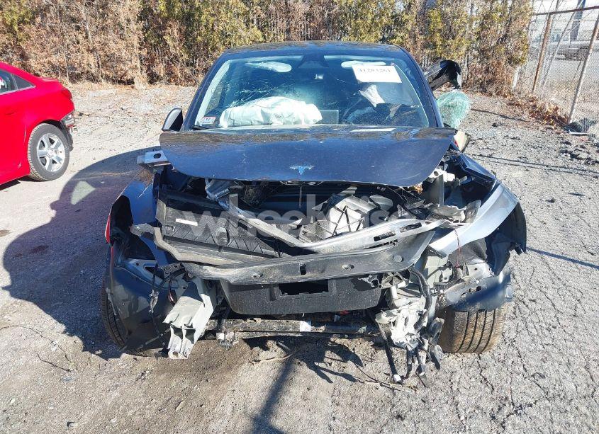 Photo 11 of 2023 Tesla Model Y AWD/LONG RANGE DUAL MOTOR ALL-WHEEL DRIVE (VIN 7SAYGAEE7PF926872)