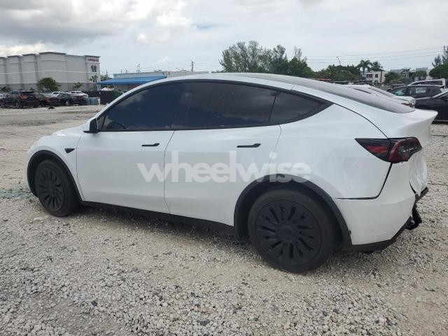 2024 TESLA MODEL Y (VIN 7SAYGAEE8RF102690) main photo