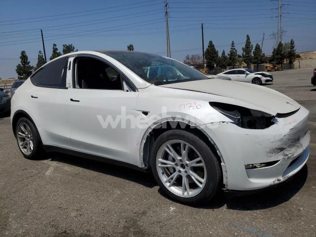 Photo 10 of 2023 TESLA MODEL Y (VIN 7SAYGAEE9PF599715)