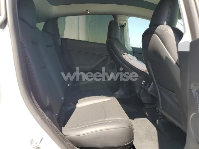 2025 TESLA MODEL Y (VIN 7SAYGDED0SF240884) main photo