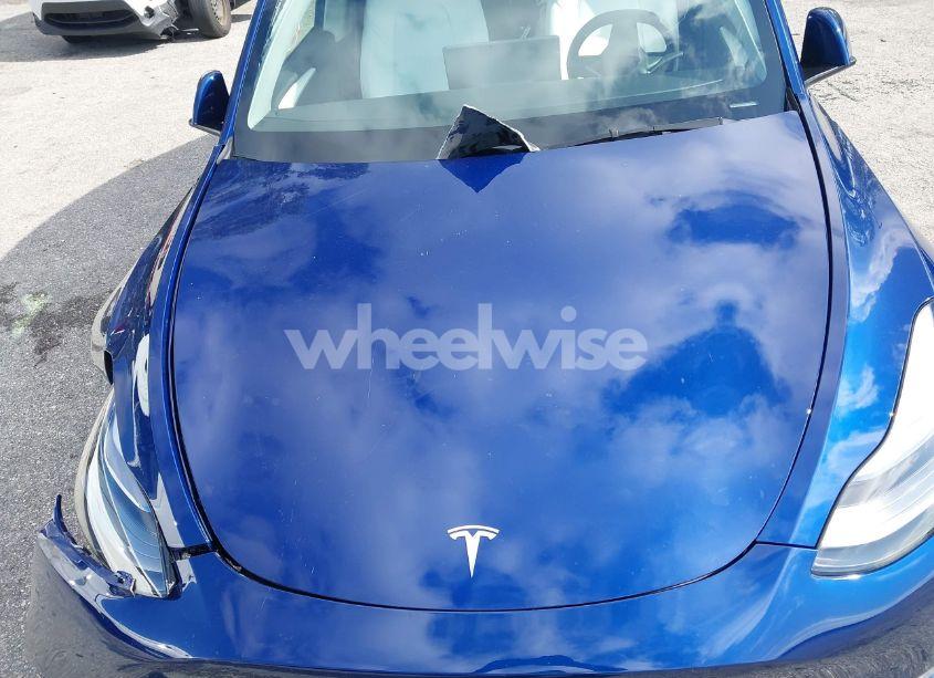 Photo 10 of 2025 Tesla Model Y LONG RANGE DUAL MOTOR ALL-WHEEL DRIVE (VIN 7SAYGDED0SF256650)