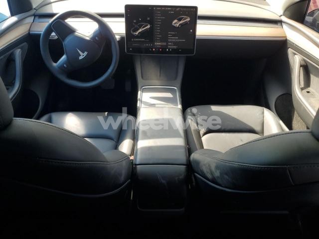 Photo 3 of 2023 TESLA MODEL Y (VIN 7SAYGDED1PF956023)