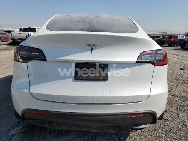 2024 TESLA MODEL Y (VIN 7SAYGDED1RF091587) main photo