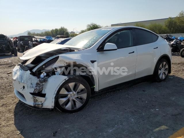 Photo 10 of 2024 TESLA MODEL Y (VIN 7SAYGDED1RF091587)