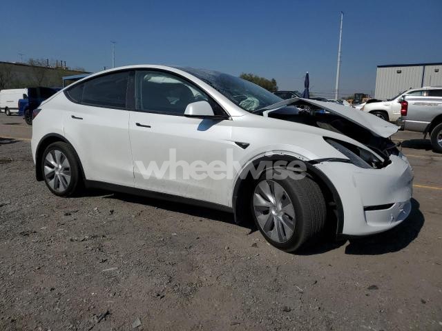 Photo 11 of 2024 TESLA MODEL Y (VIN 7SAYGDED1RF091587)