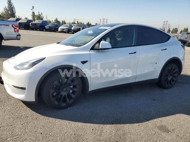 Photo 4 of 2024 TESLA MODEL Y (VIN 7SAYGDED1RF095591)