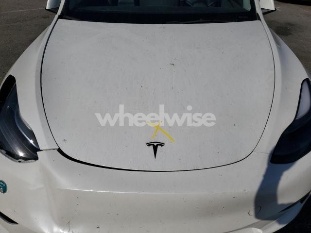 Photo 7 of 2024 TESLA MODEL Y (VIN 7SAYGDED1RF095591)