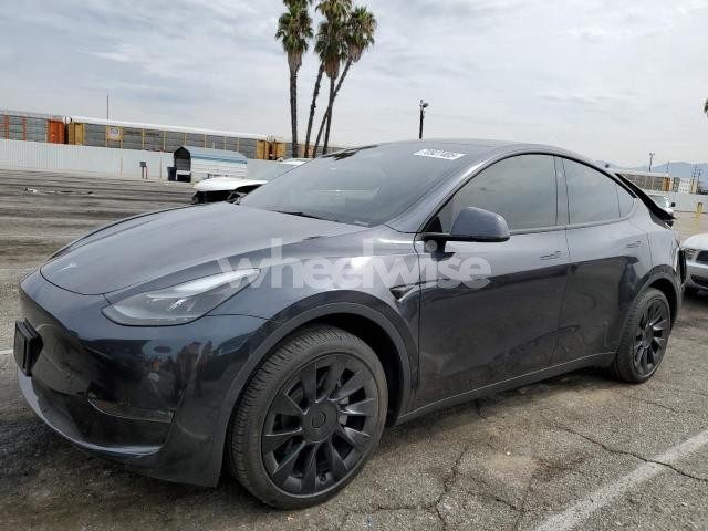 Photo 10 of 2024 TESLA MODEL Y (VIN 7SAYGDED1RF112535)