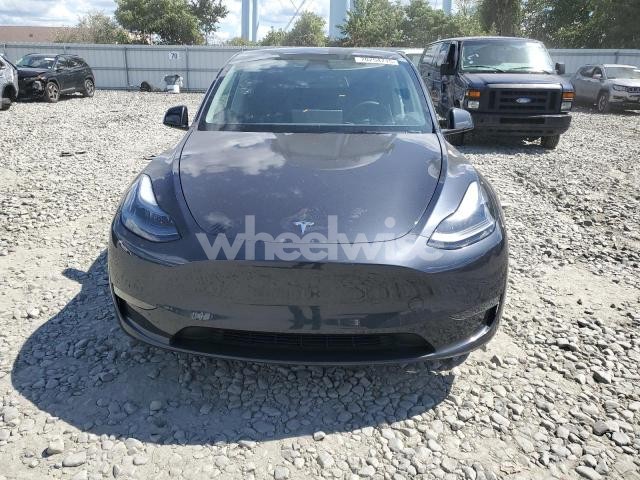 Photo 10 of 2024 TESLA MODEL Y (VIN 7SAYGDED1RF212148)