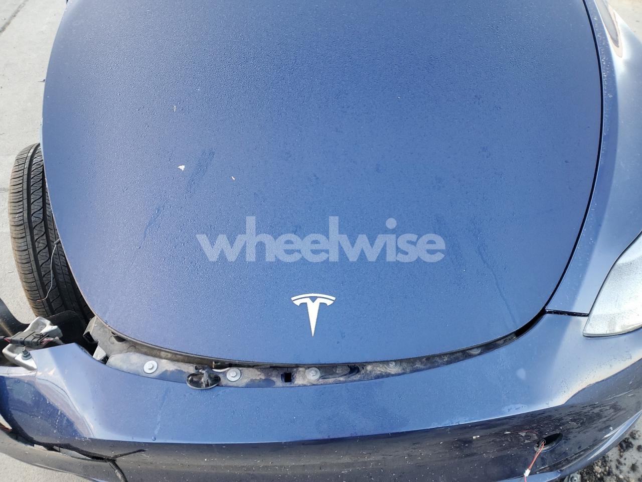 Photo 11 of 2025 TESLA MODEL Y (VIN 7SAYGDED1SF309579)