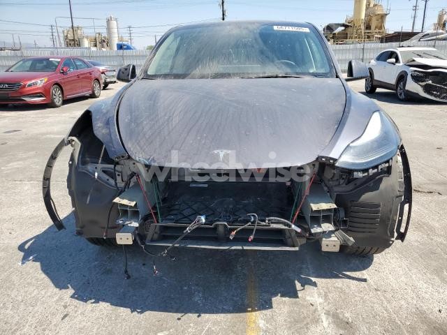 2023 TESLA MODEL Y (VIN 7SAYGDED2PF962946) main photo