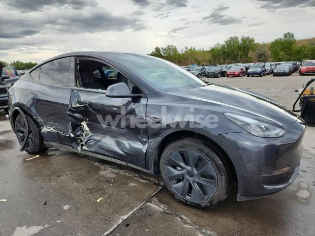 2024 TESLA MODEL Y (VIN 7SAYGDED2RA334224) main photo