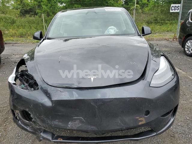 2024 TESLA MODEL Y (VIN 7SAYGDED2RF040079) main photo