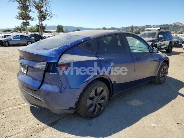 2024 TESLA MODEL Y (VIN 7SAYGDED2RF105318) main photo