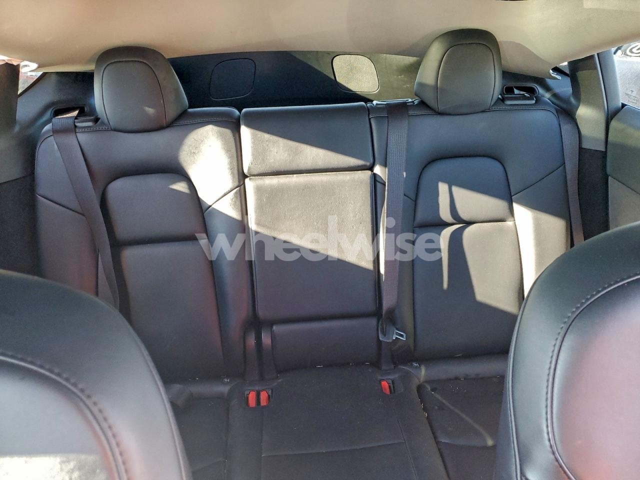 Photo 10 of 2024 TESLA MODEL Y (VIN 7SAYGDED2RF162618)