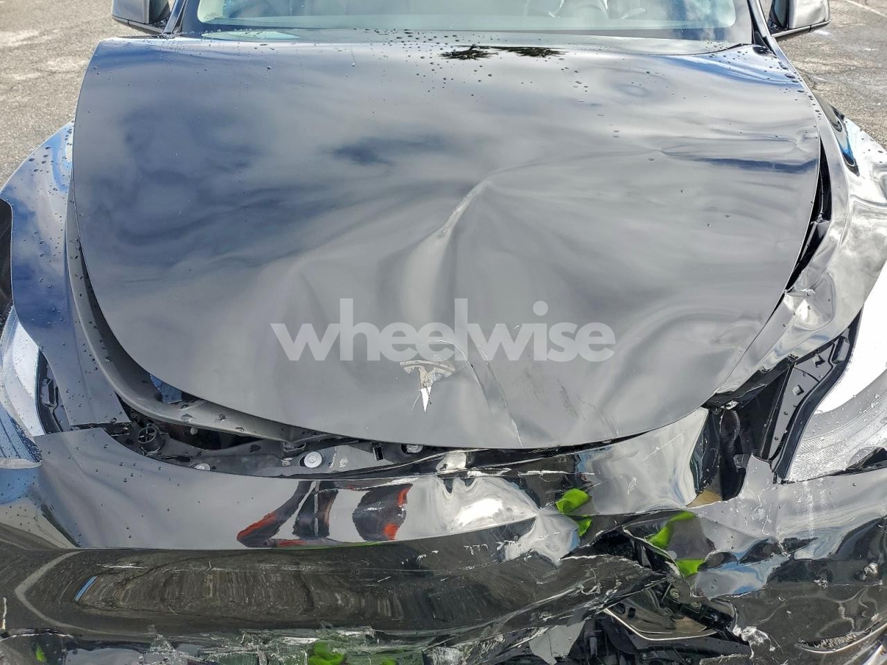 Photo 12 of 2024 TESLA MODEL Y (VIN 7SAYGDED2RF162618)