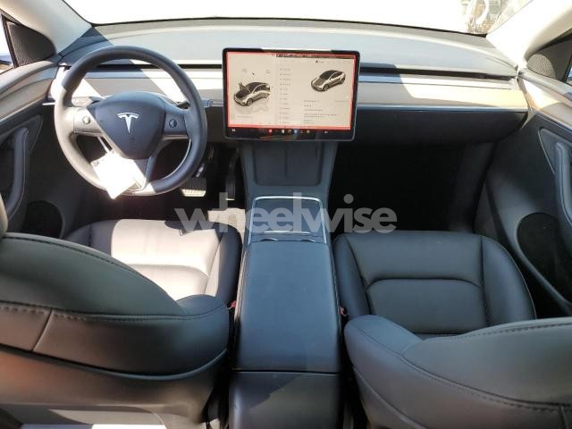 2023 TESLA MODEL Y (VIN 7SAYGDED3PF923556) main photo
