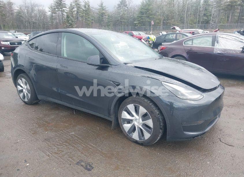 2024 Tesla Model Y (VIN 7SAYGDED3RF044013) main photo