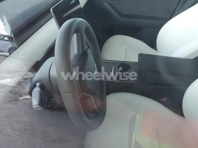 2024 TESLA MODEL Y (VIN 7SAYGDED3RF044335) main photo