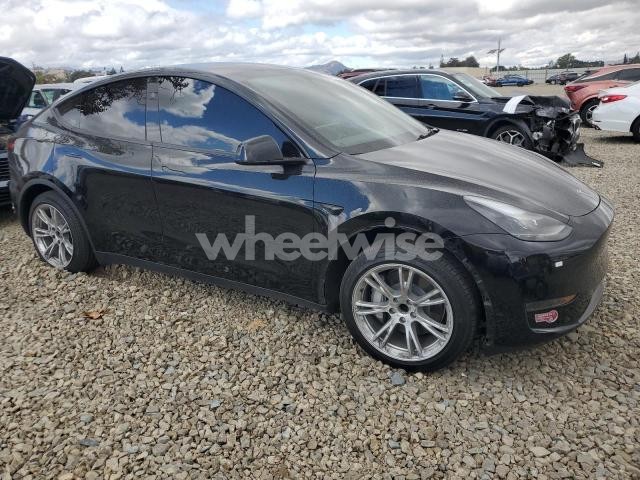 2024 TESLA MODEL Y (VIN 7SAYGDED3RF077268) main photo