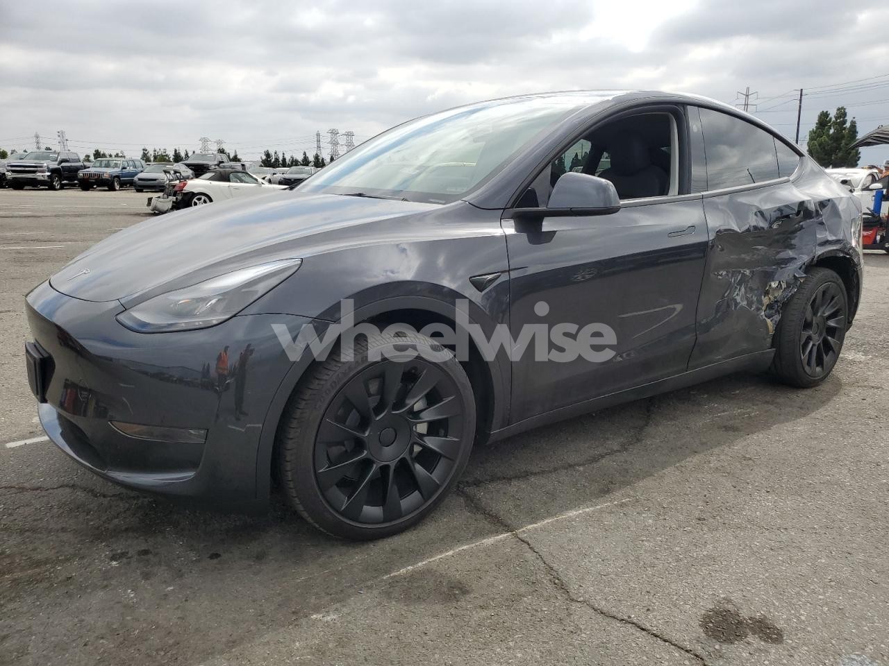 2024 TESLA MODEL Y (VIN 7SAYGDED3RF097682) main photo
