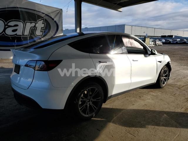 2024 TESLA MODEL Y (VIN 7SAYGDED3RF111452) main photo