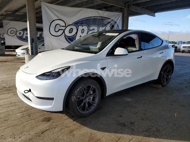 Photo 5 of 2024 TESLA MODEL Y (VIN 7SAYGDED3RF111452)