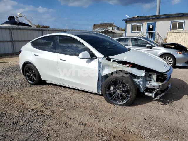 2025 TESLA MODEL Y (VIN 7SAYGDED3SF320227) main photo