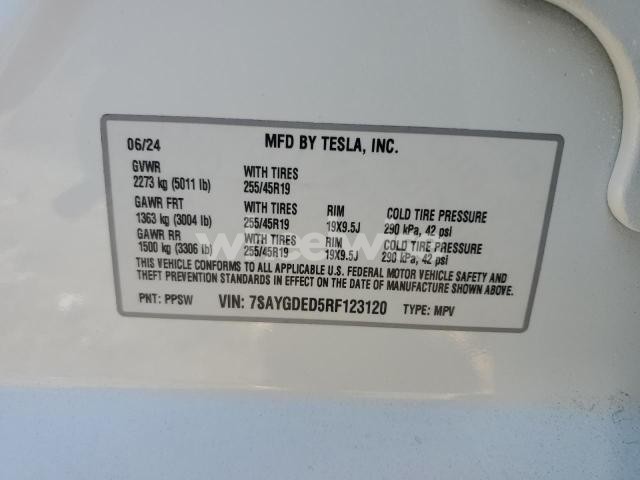 Photo 3 of 2024 TESLA MODEL Y (VIN 7SAYGDED5RF123120)